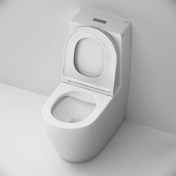 Унитаз напольный AM.PM Func C8F8900SC безободковый с сиденьем микролифт, белый-6